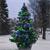 stimmungsvolle LED Beleuchtung für Bäume in der Adventszeit