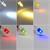 Experimentier-Sortiment mit superhelle LEDs in 6 Leuchtfarben